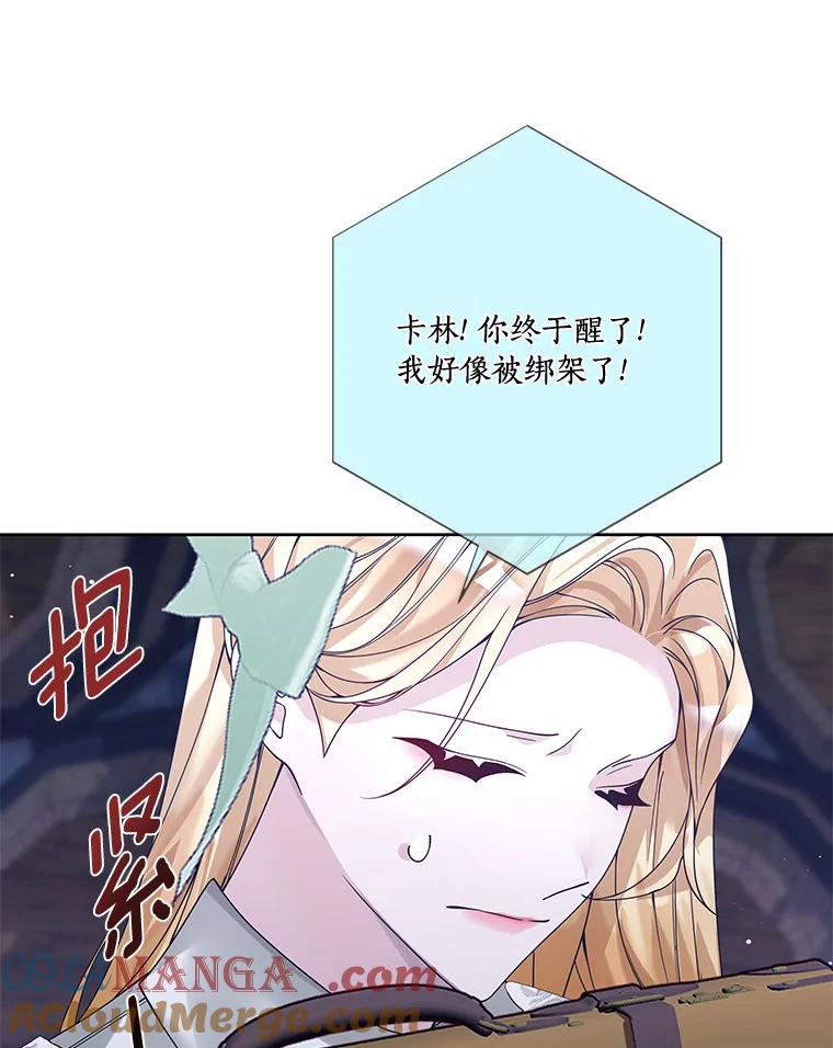 《龙套大公子妃的花路人生》42.绑架 第25页