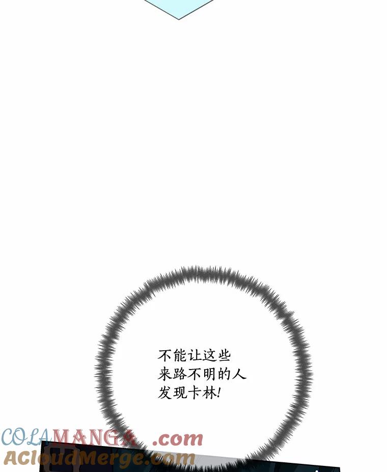 《龙套大公子妃的花路人生》42.绑架 第29页
