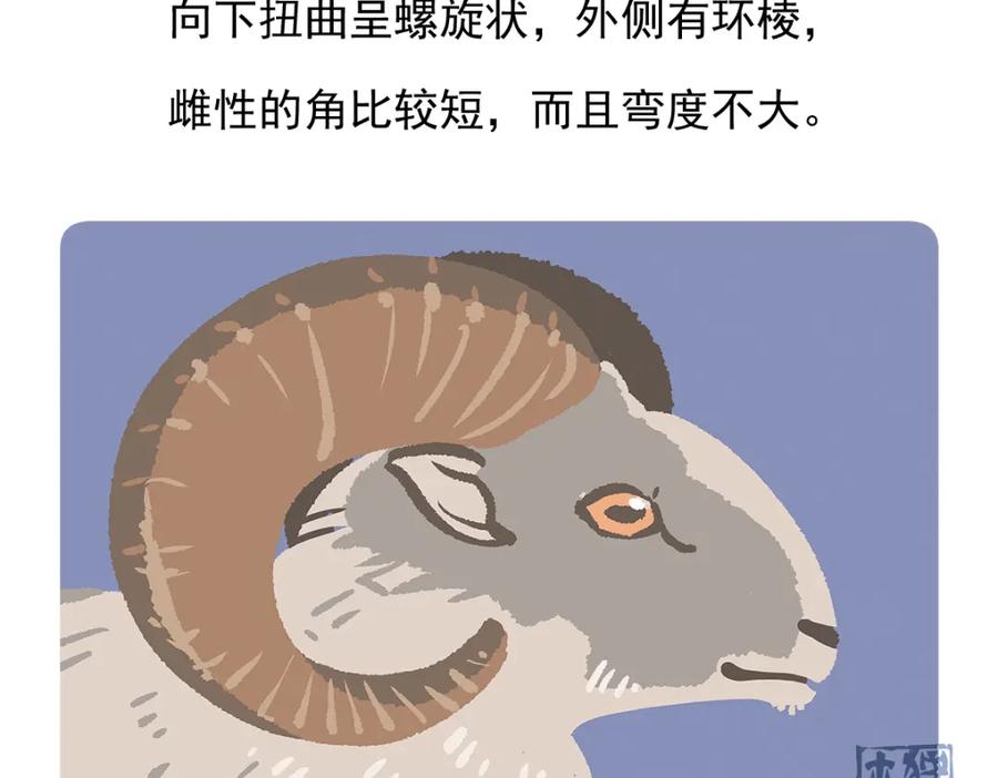 《胖达x胖达》第93话 第33页