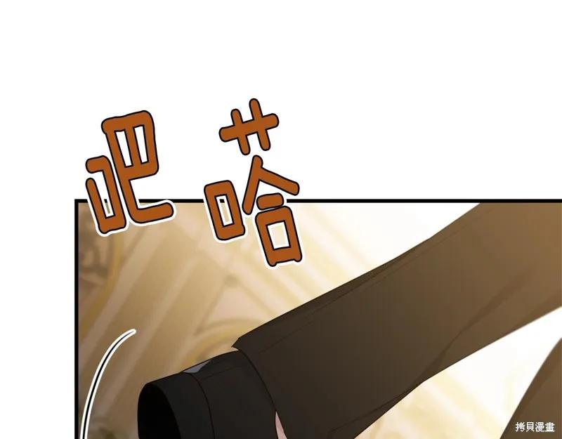 《明明是冷美人小姐却变成了忠犬大少爷》第73话 第155页