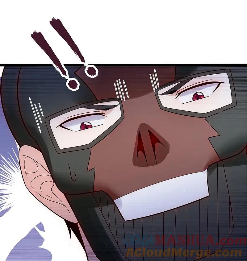 镇国主宰 第183话 刺杀 第27页