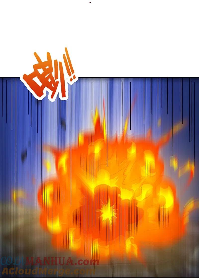 镇国主宰 第197话 决战开始 第13页