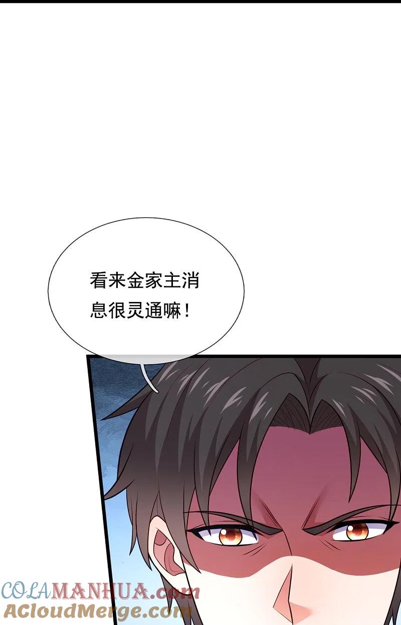 镇国主宰 第211话 金家家主 第29页