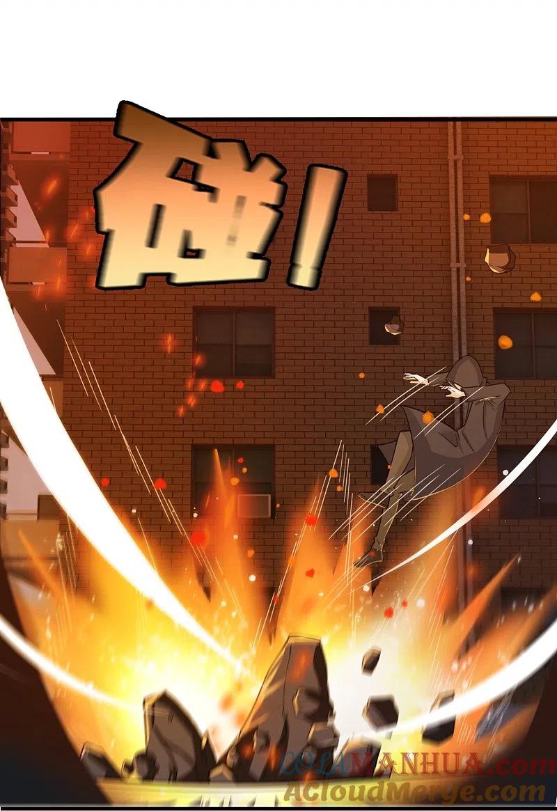 镇国主宰 第229话 刺杀 第35页