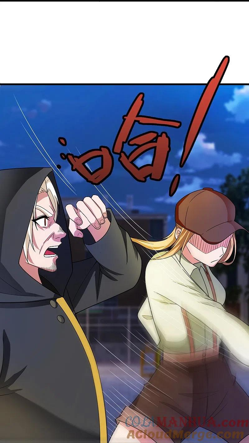 镇国主宰 第229话 刺杀 第27页