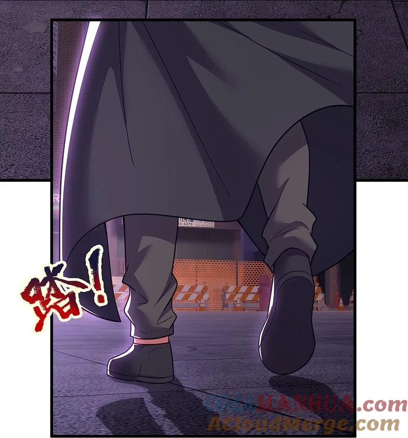 镇国主宰 第229话 刺杀 第11页