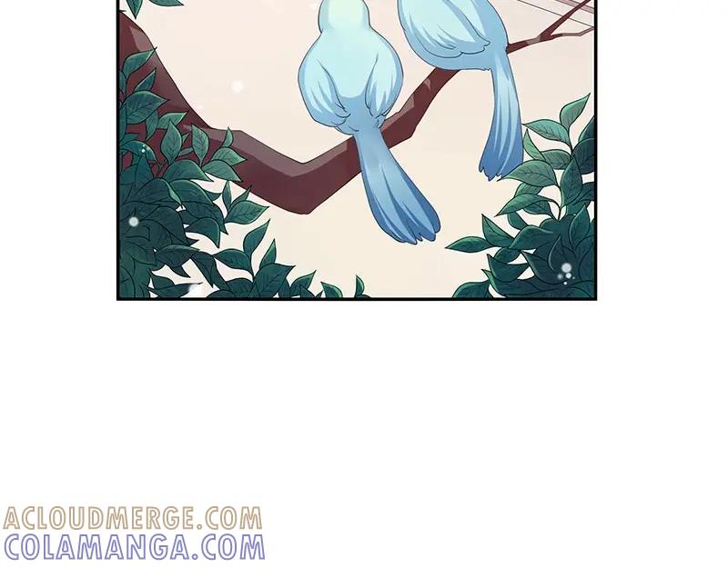 《我靠美貌发家致富》20.淑女街 第89页