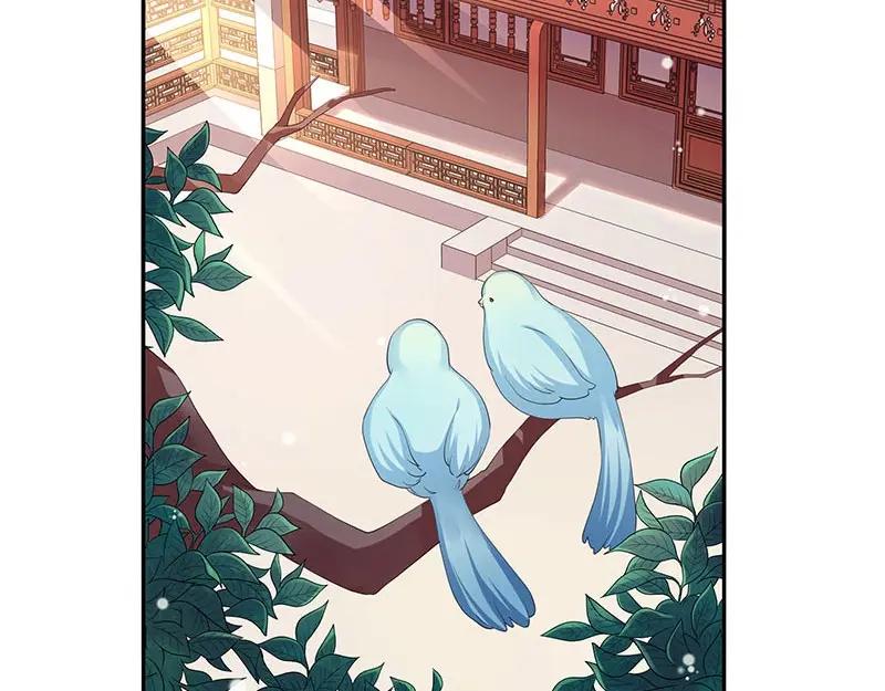 《我靠美貌发家致富》21.二十万两！ 第8页
