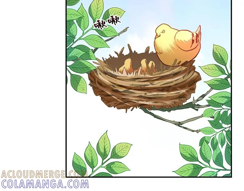《我靠美貌发家致富》05.我要好好教训她！ 第61页
