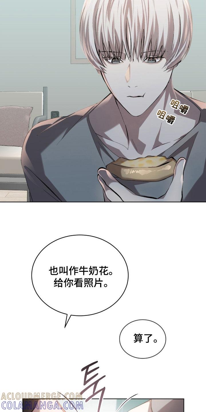 《法外狂徒》第58章：【第二季】无法驯服 第5页