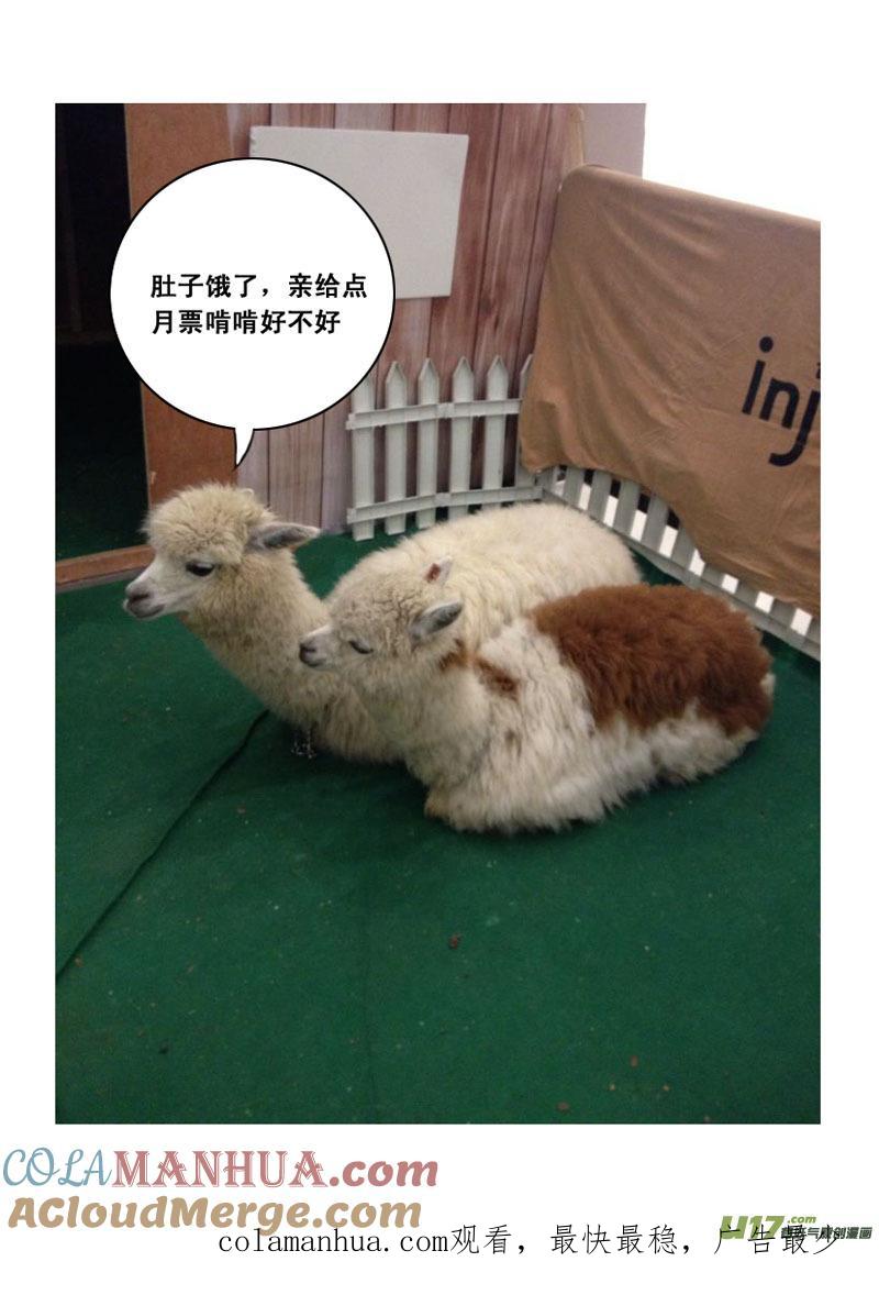 《镇魂街》一百零二 伙伴 第14页