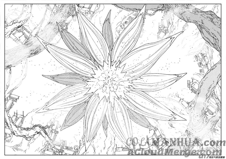 《镇魂街》三五七 开花 第13页
