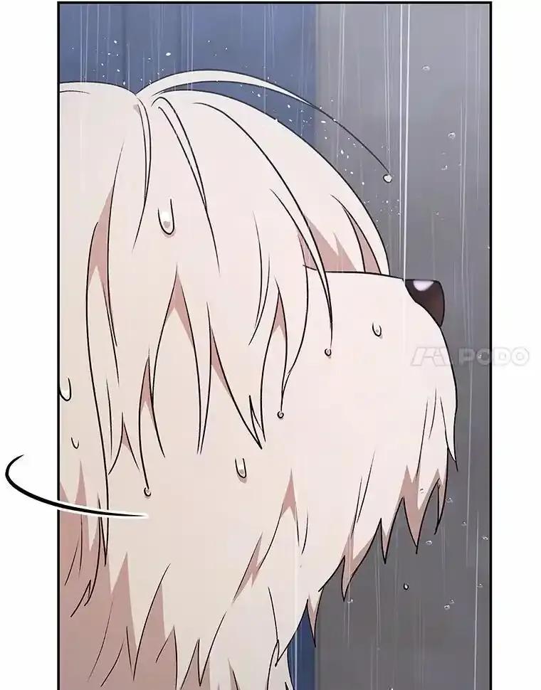 《你好？兽医先生！》59.我们回家吧 第91页