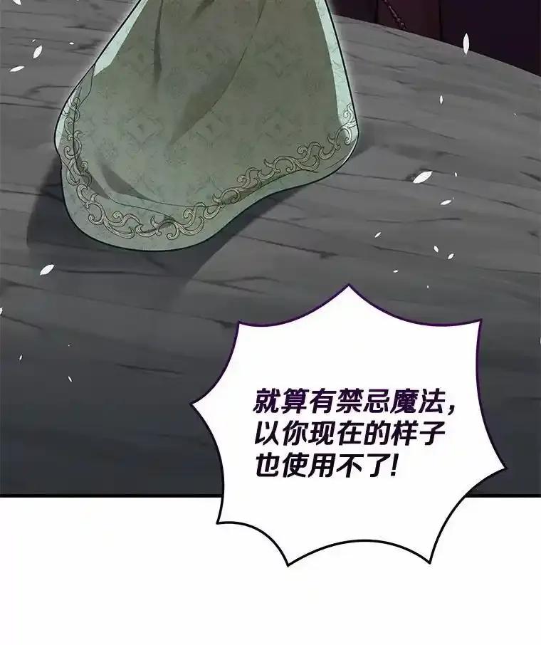 《小圣女想要毁灭世界》57.你没资格 第119页