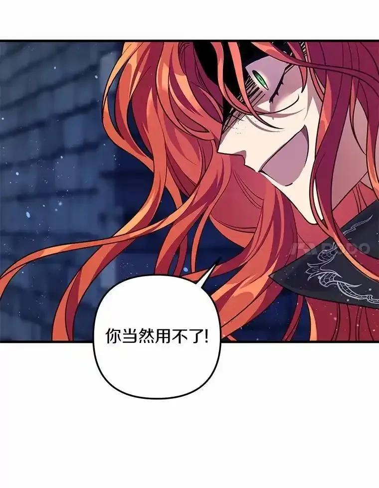 《小圣女想要毁灭世界》57.你没资格 第111页