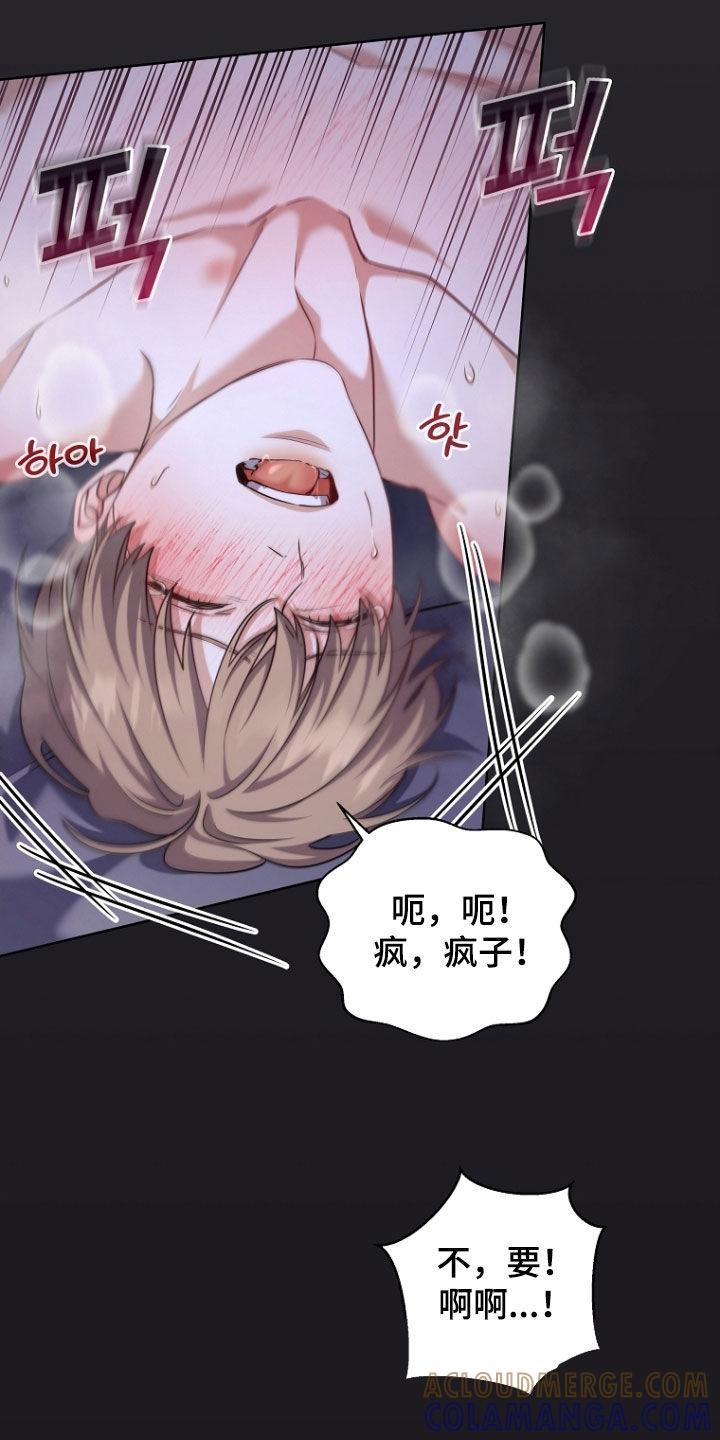 《双重血脉》第100章：快要发疯 第11页