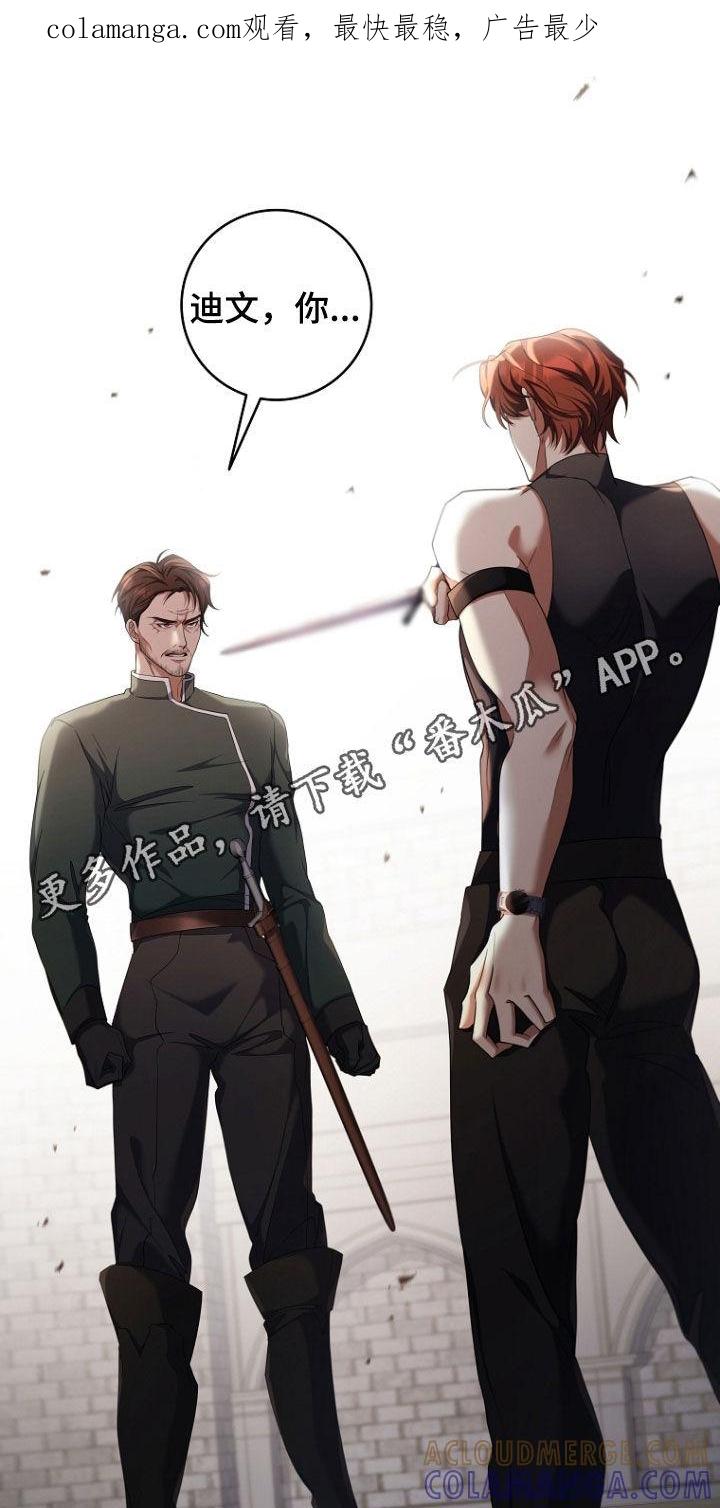 《双重血脉》第105章：对战 第1页