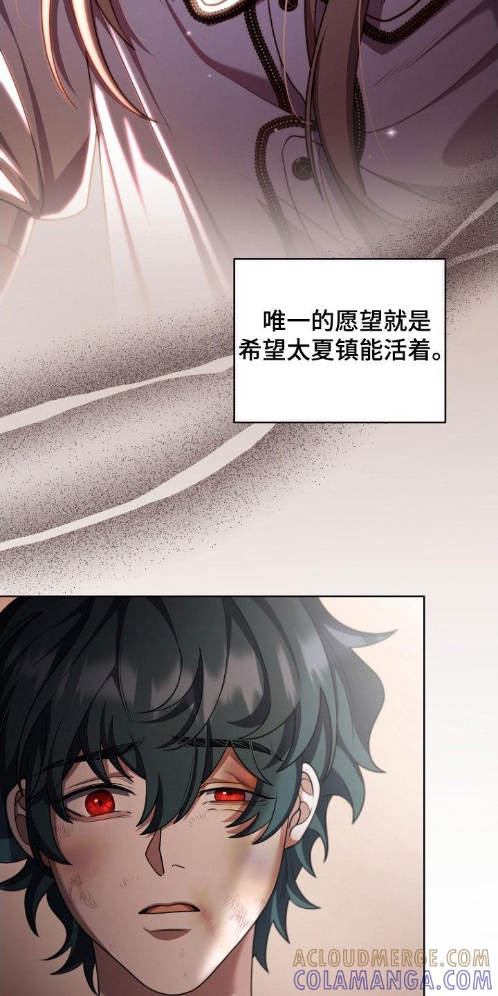 《双重血脉》第111章：我答应你 第13页