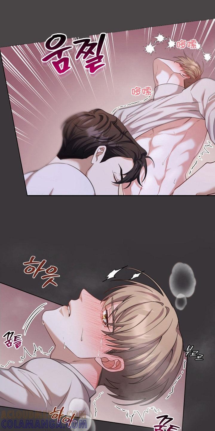 《双重血脉》第115章：命运的安排 第13页