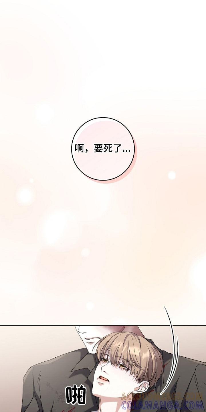 《双重血脉》第89章：这里很安全 第19页