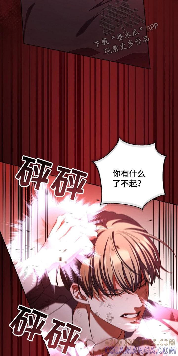 《双重血脉》第90章：殴打 第15页