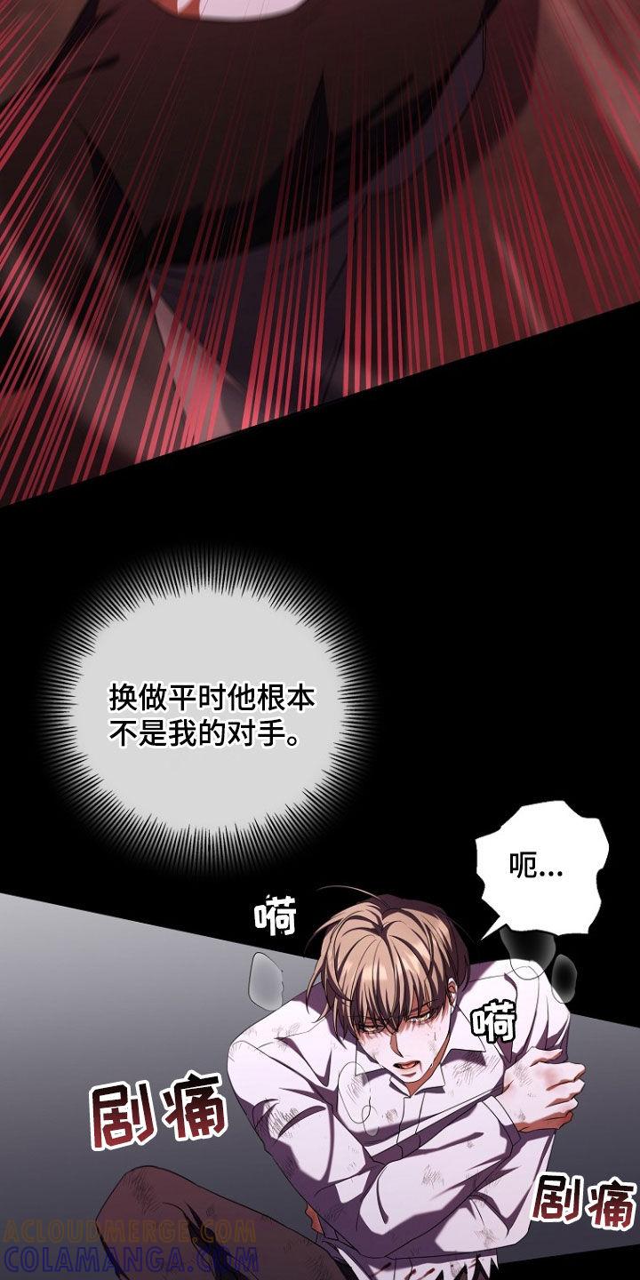 《双重血脉》第90章：殴打 第13页