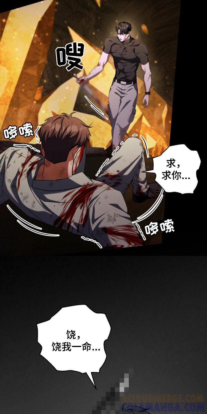 《双重血脉》第93章：复仇 第19页