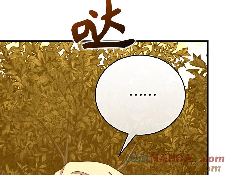 圣子是什么狗屁，这是现代医学的力量 - 第96话 十二英雄 - 第161张图