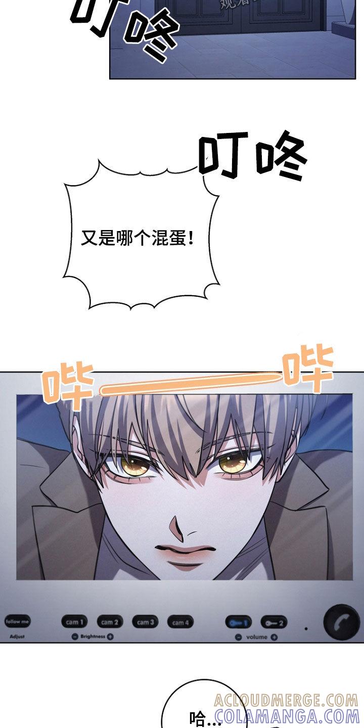 《双重血脉》第97章：因为我喜欢你 第11页