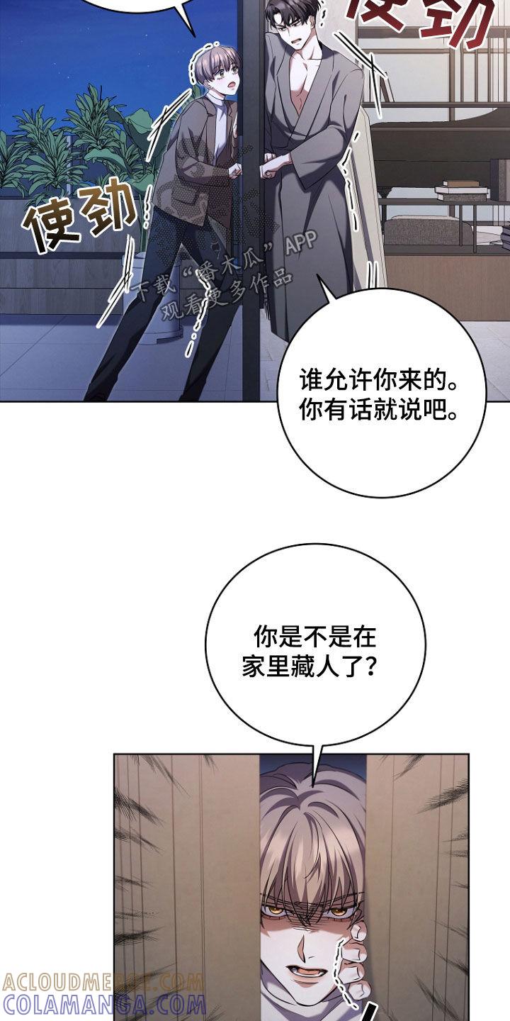 《双重血脉》第97章：因为我喜欢你 第13页