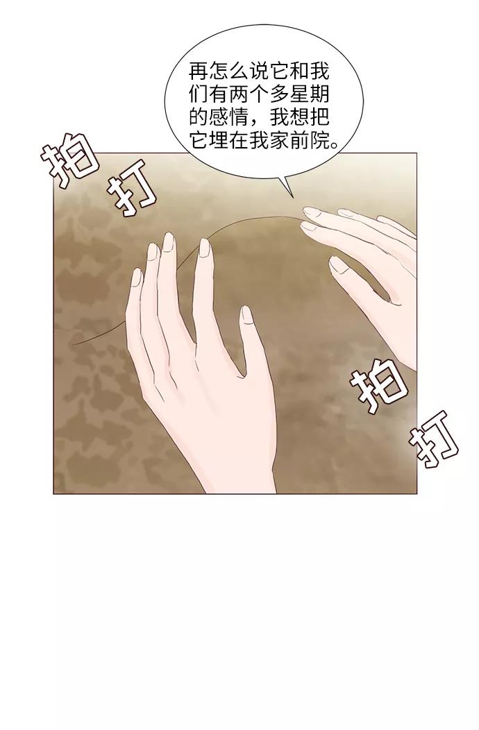 《你还记得吗》第58话 第47页
