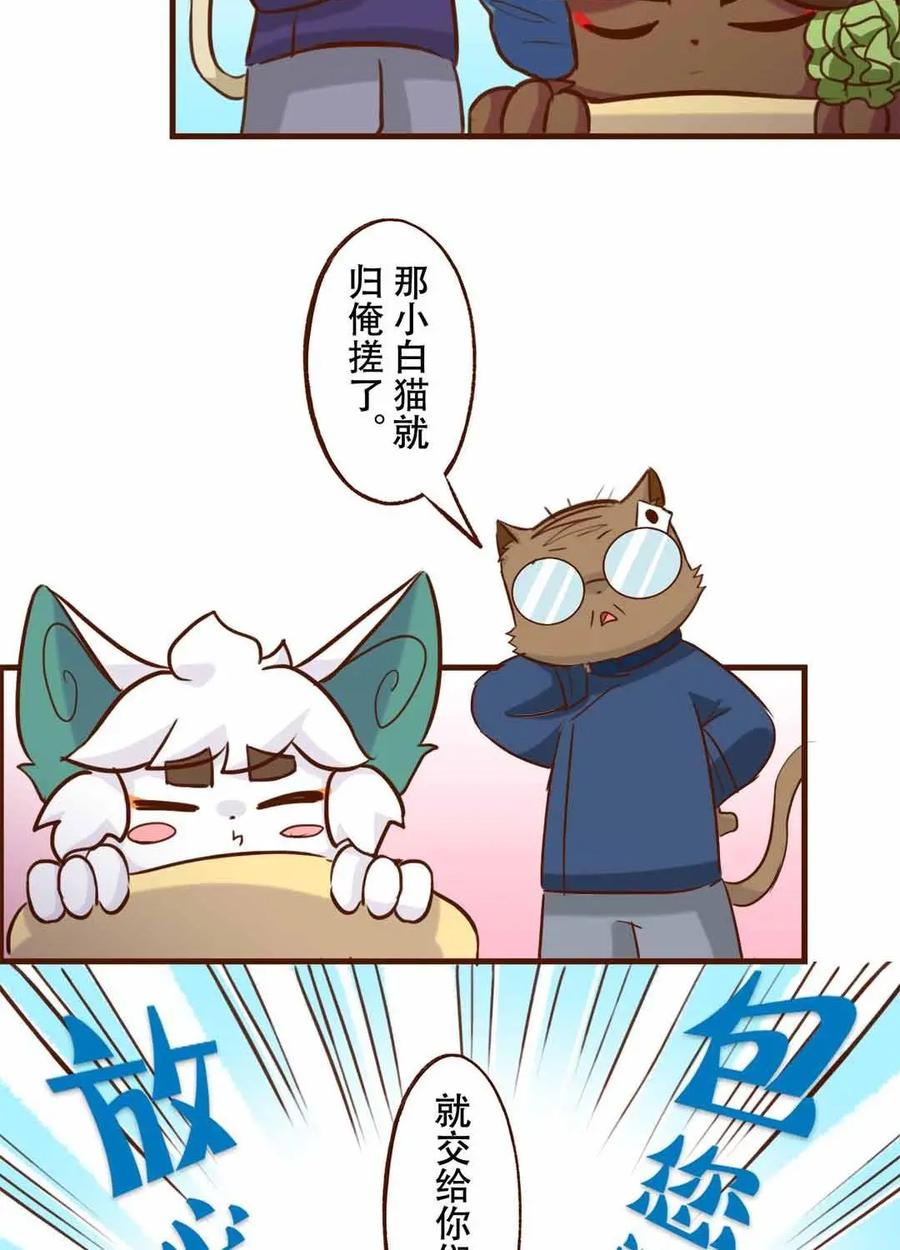 《京剧猫喵日常》第171话：洗浴！使劲儿搓 上 第8页