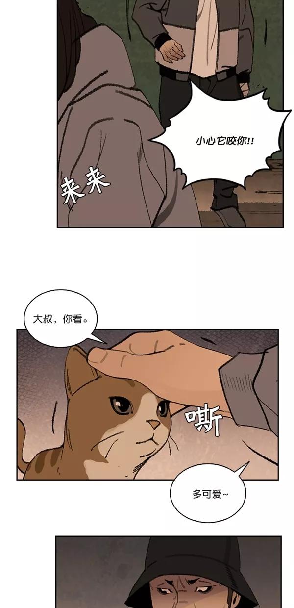 《金鱼》第22话 第27页