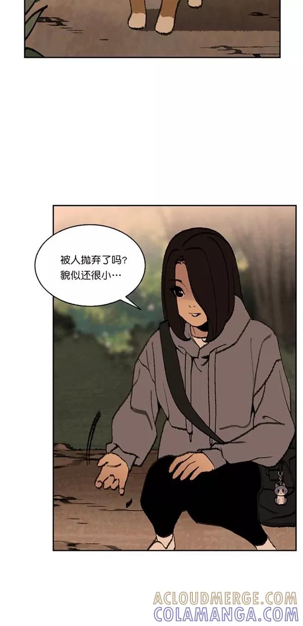 《金鱼》第22话 第25页