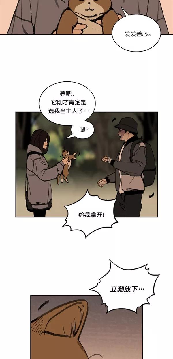 《金鱼》第22话 第30页