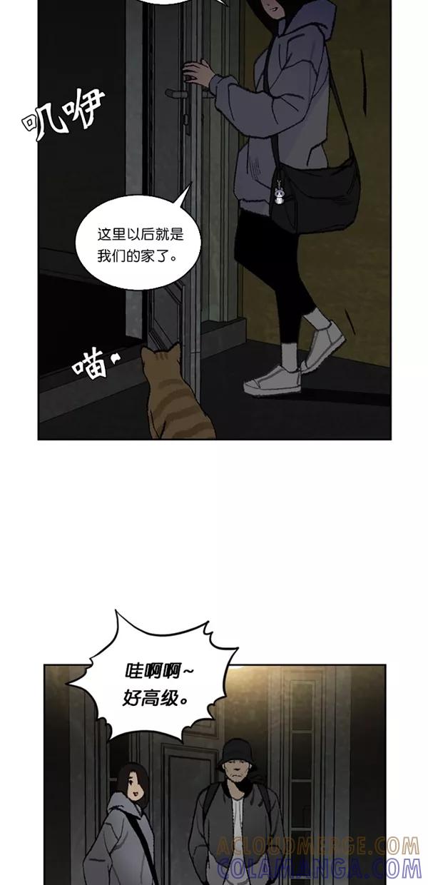 《金鱼》第23话 第13页