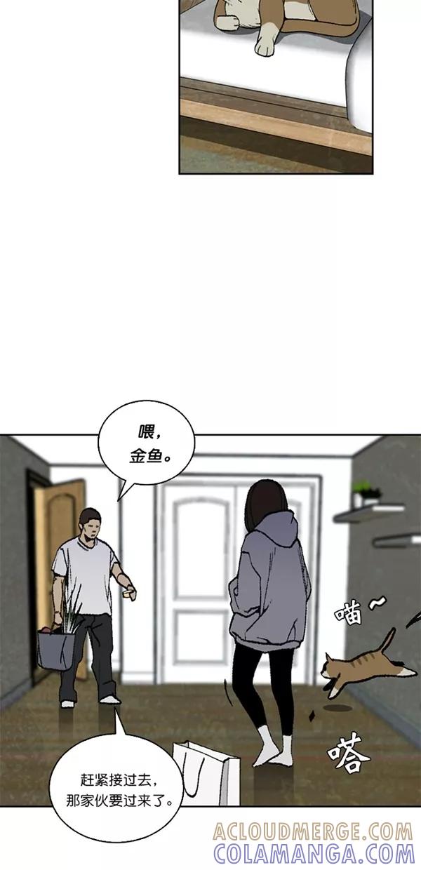 《金鱼》第26话 第43页