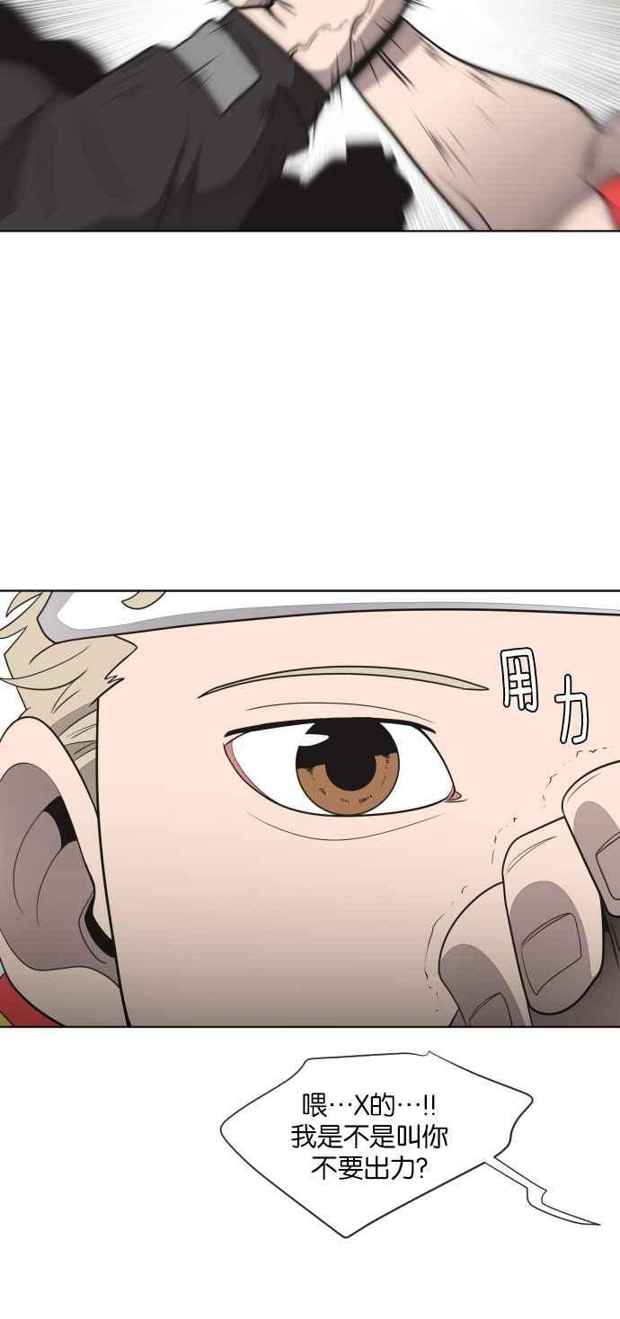 48.jpg