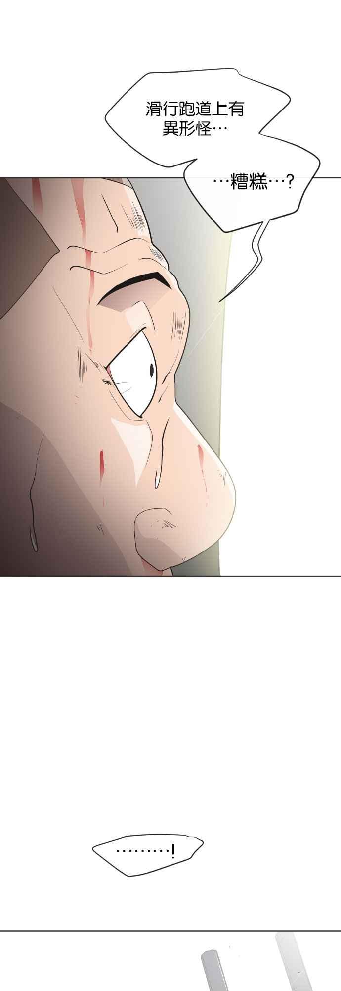 41.jpg