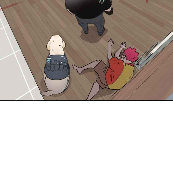 41.jpg