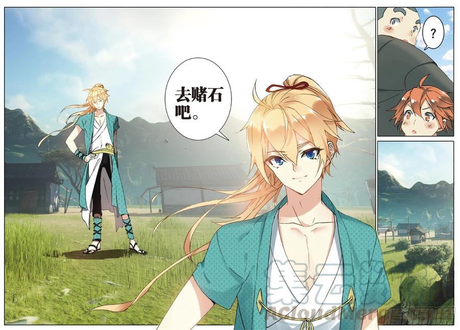 遮天 - 70 相约赌石城 - 第13张图