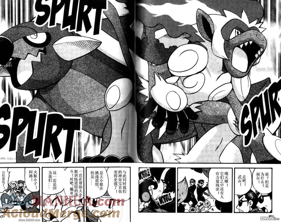 神奇宝贝特別篇 - 第359话 - 第13张图