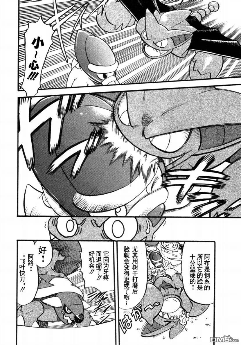 神奇宝贝特別篇 - 第378话 - 第14张图