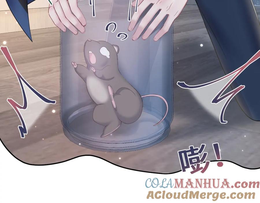 【快穿】绝美白莲在线教学 第135话 求摸求抱求同情 第17页