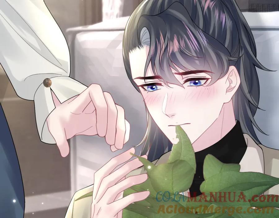 【快穿】绝美白莲在线教学 第160话 位面BUG？ 第43页