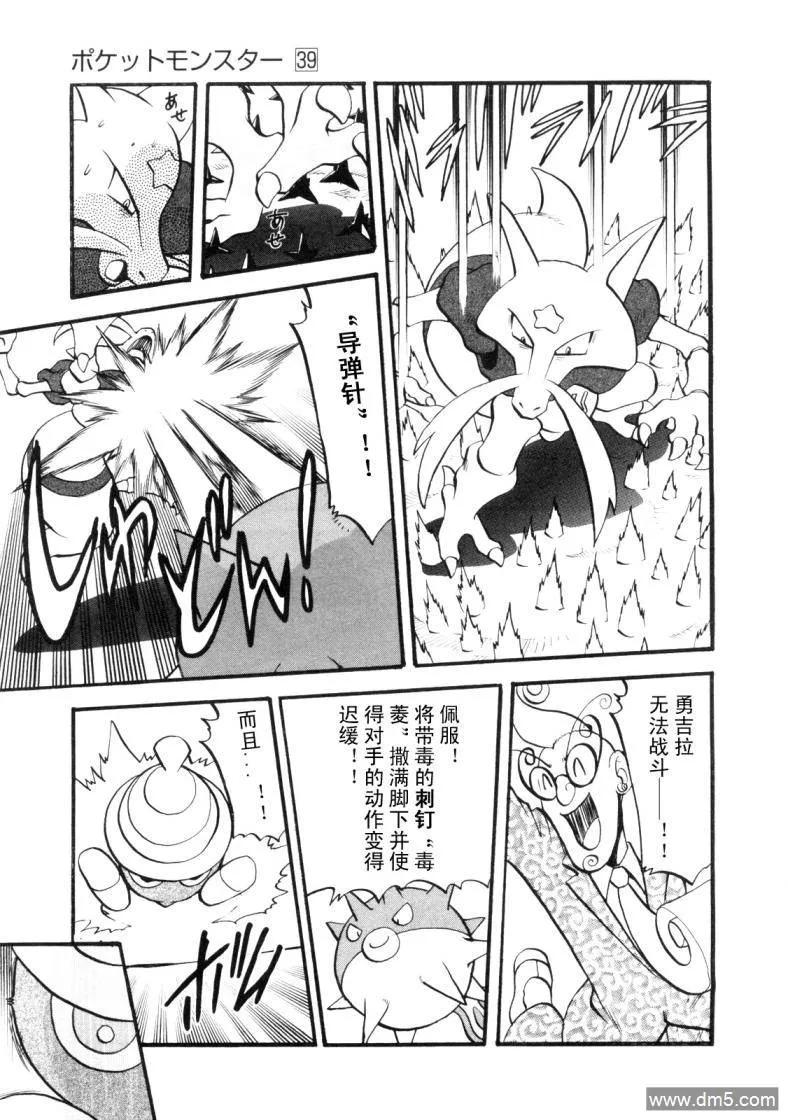 神奇宝贝特別篇 - 第427话 橡实果 - 第4张图