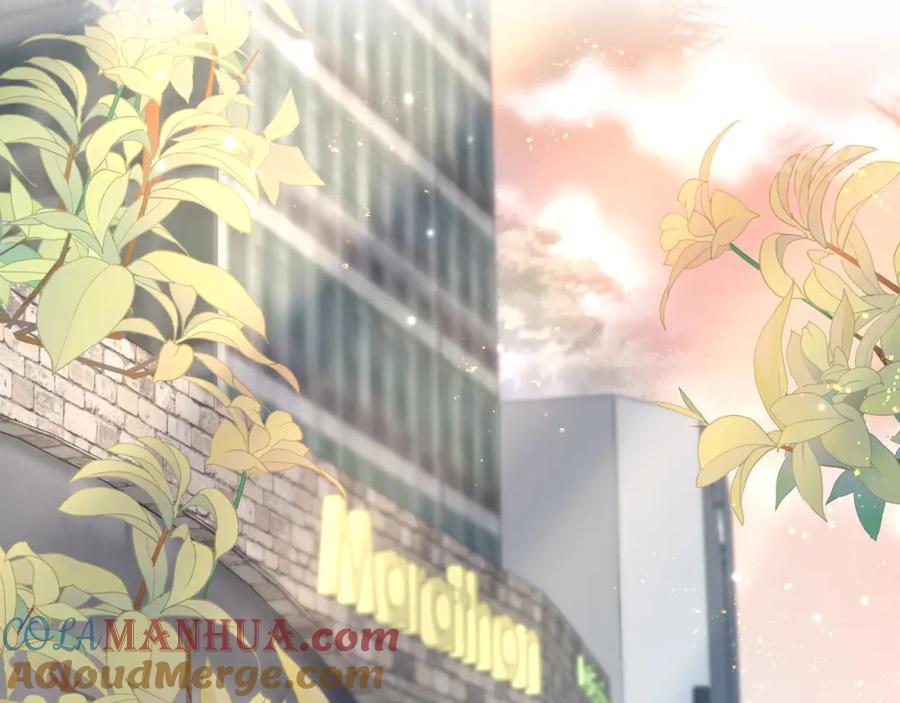 【快穿】绝美白莲在线教学 第171话 给你的惊喜 第29页
