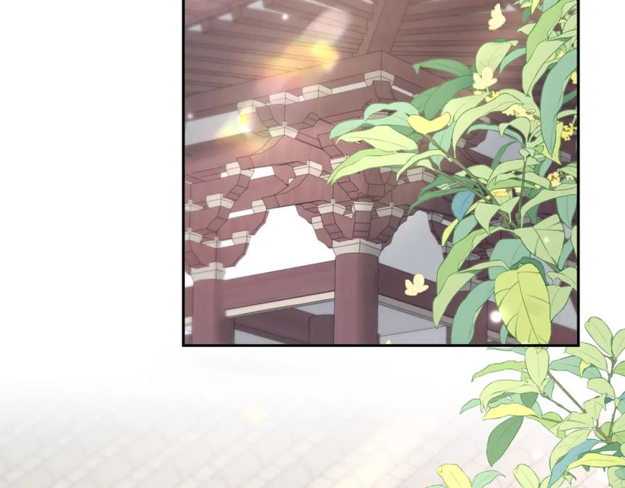 【快穿】绝美白莲在线教学 第175话 柔弱的美人仙尊？ 第48页