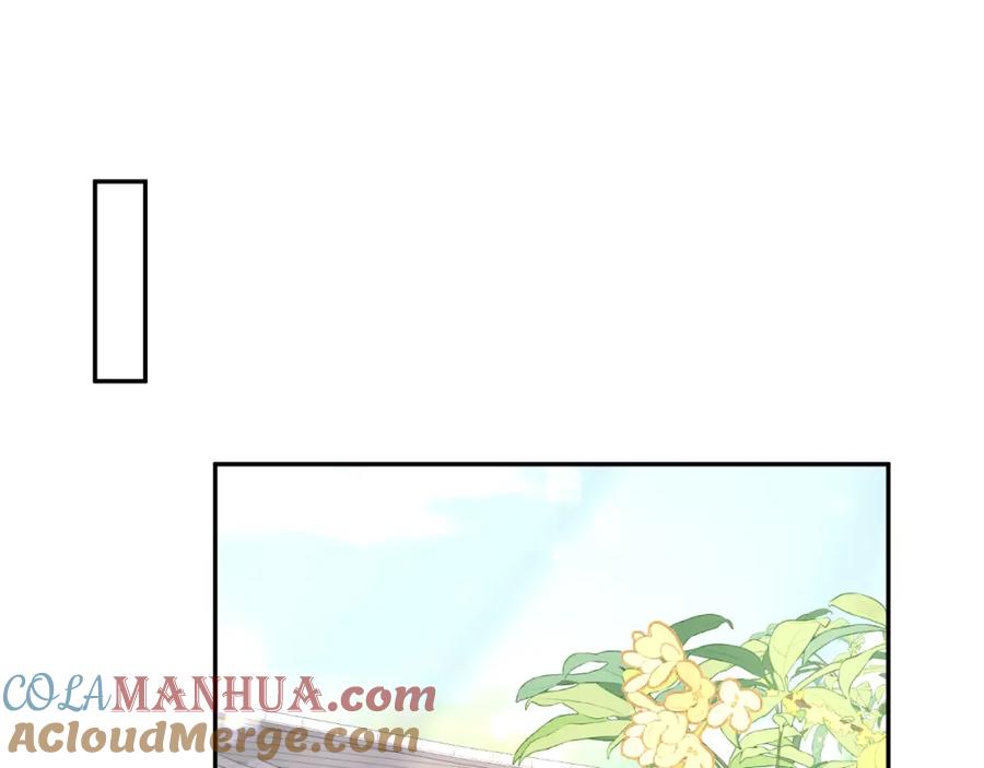 【快穿】绝美白莲在线教学 第188话 师徒关系公开 第13页