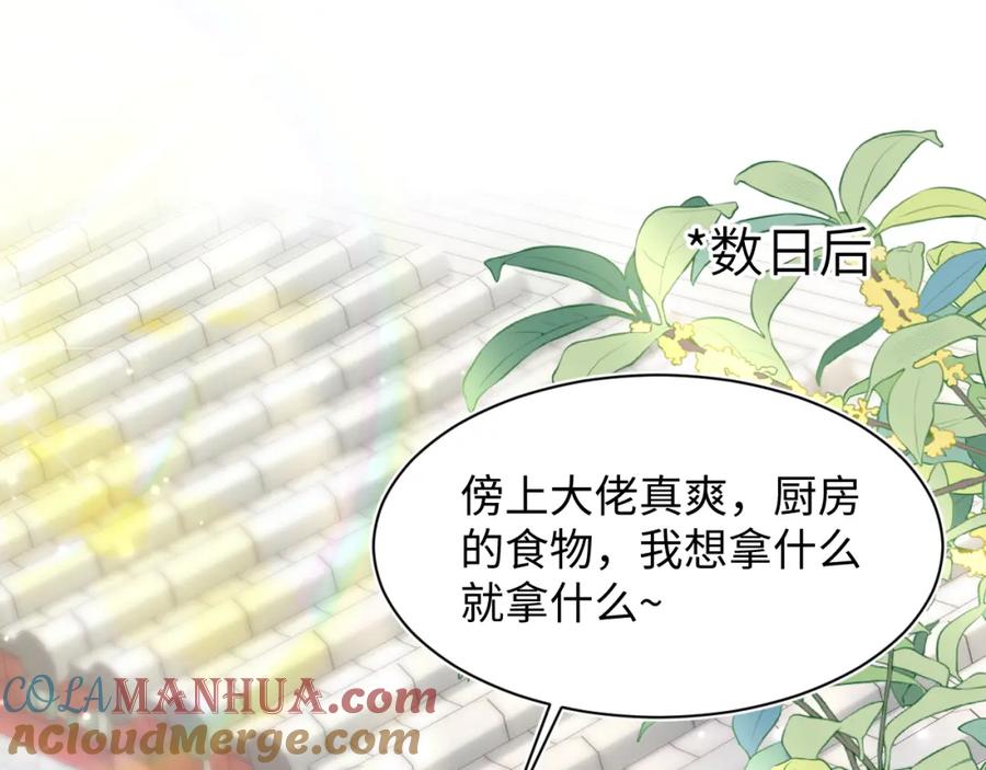 【快穿】绝美白莲在线教学 第189话 阳阳仙后？ 第5页